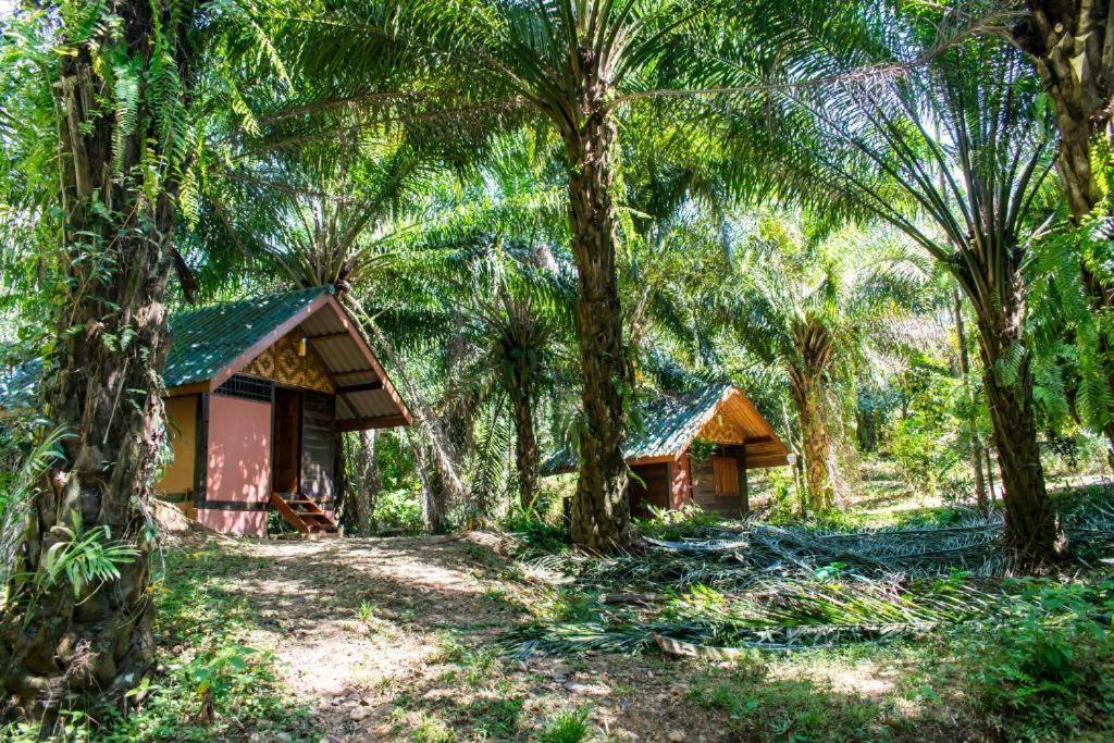 منتجع كاو سوك سيلفر كليف Khao Sok National Park المظهر الخارجي الصورة