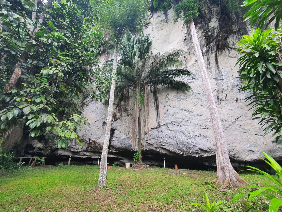 منتجع كاو سوك سيلفر كليف Khao Sok National Park المظهر الخارجي الصورة