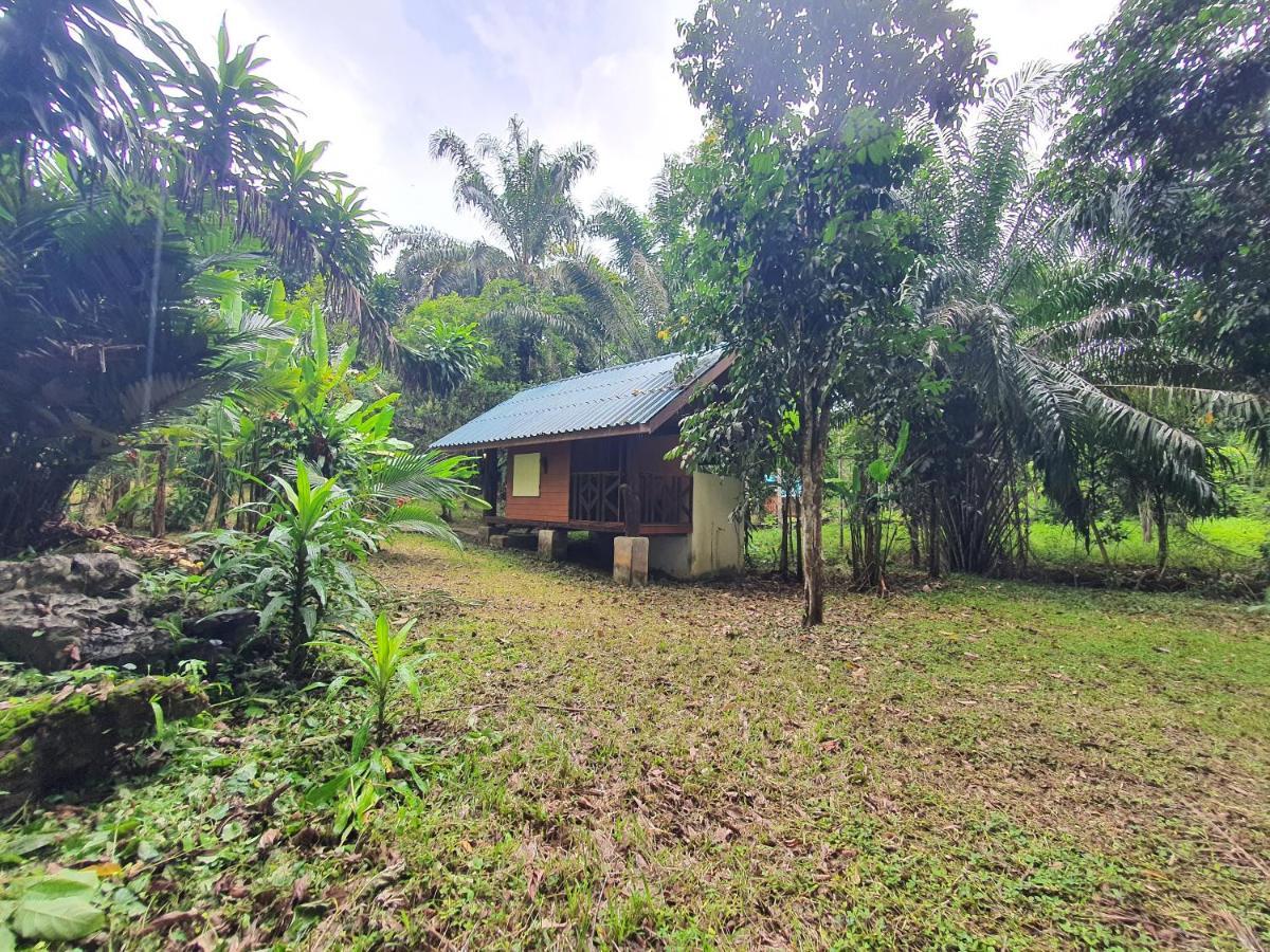 منتجع كاو سوك سيلفر كليف Khao Sok National Park المظهر الخارجي الصورة