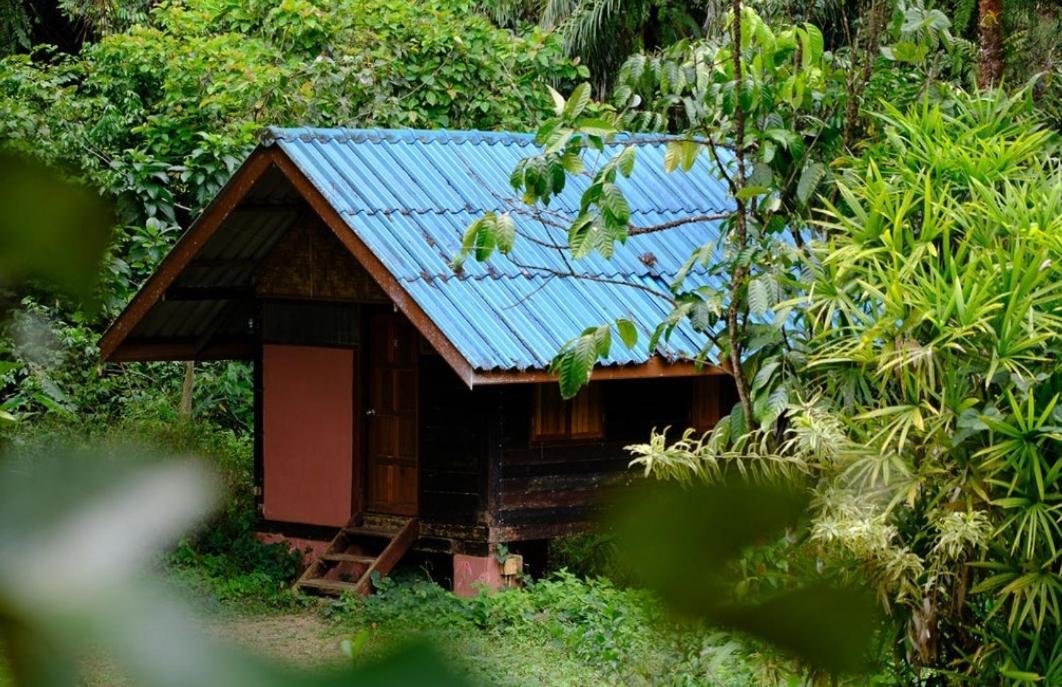 منتجع كاو سوك سيلفر كليف Khao Sok National Park المظهر الخارجي الصورة