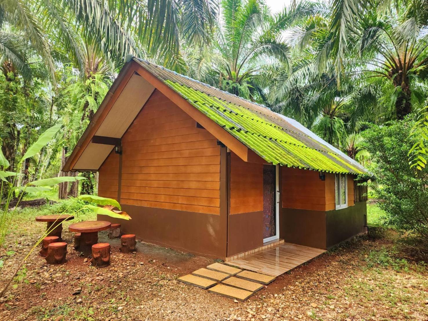 منتجع كاو سوك سيلفر كليف Khao Sok National Park الغرفة الصورة