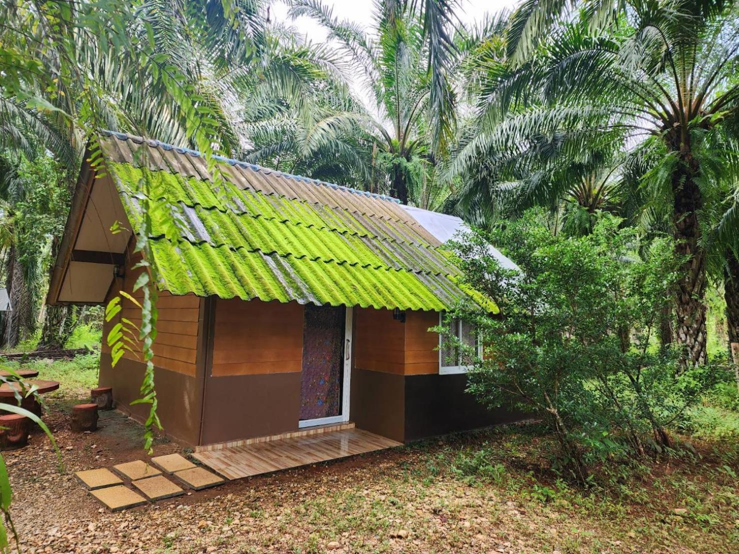 منتجع كاو سوك سيلفر كليف Khao Sok National Park الغرفة الصورة