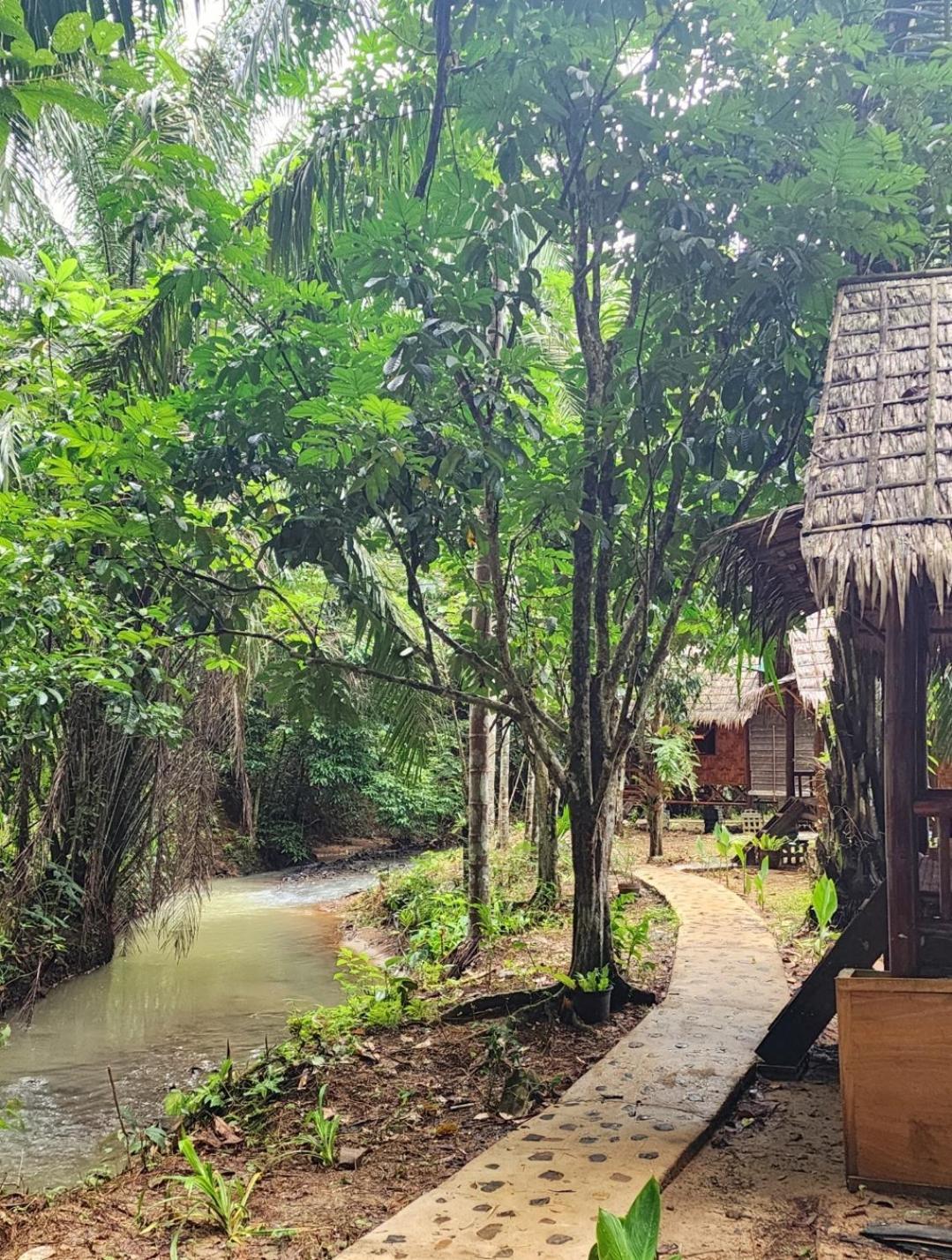 منتجع كاو سوك سيلفر كليف Khao Sok National Park الغرفة الصورة