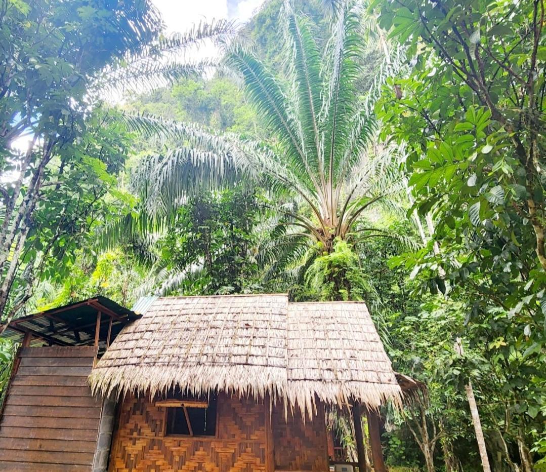 منتجع كاو سوك سيلفر كليف Khao Sok National Park الغرفة الصورة