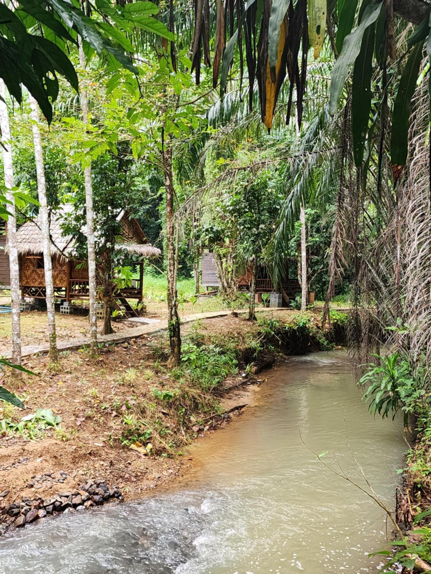 منتجع كاو سوك سيلفر كليف Khao Sok National Park الغرفة الصورة