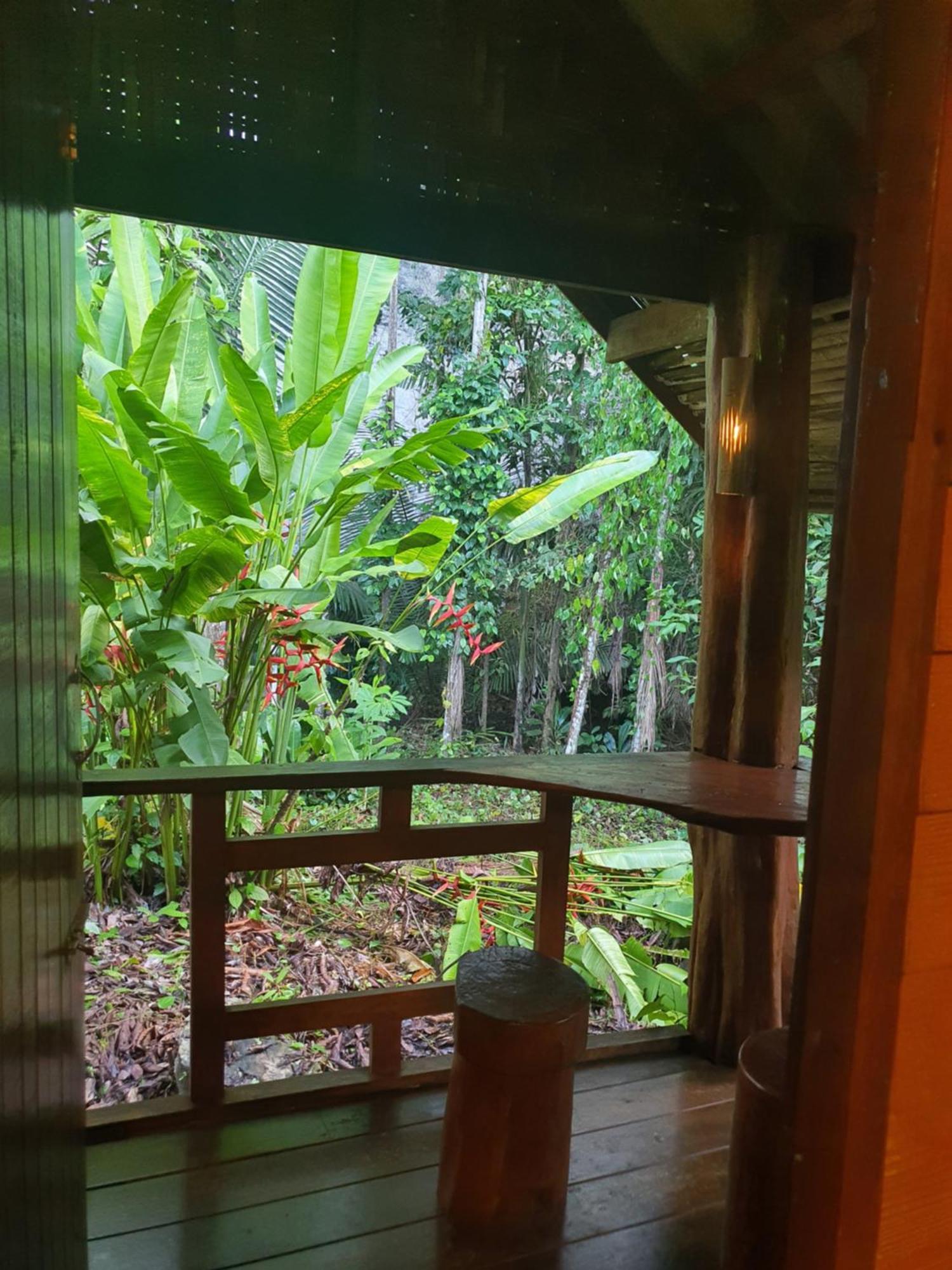 منتجع كاو سوك سيلفر كليف Khao Sok National Park الغرفة الصورة
