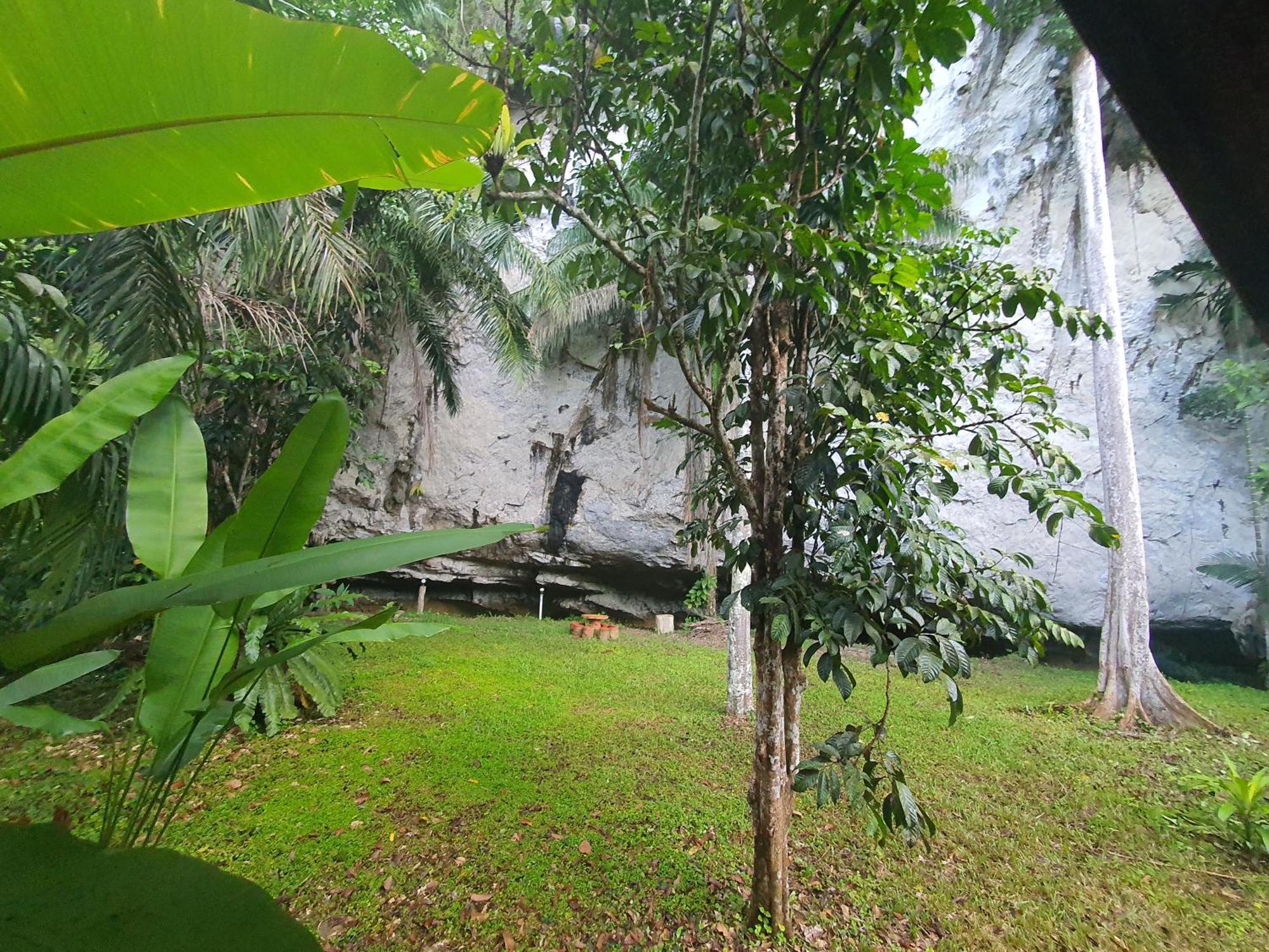 منتجع كاو سوك سيلفر كليف Khao Sok National Park الغرفة الصورة