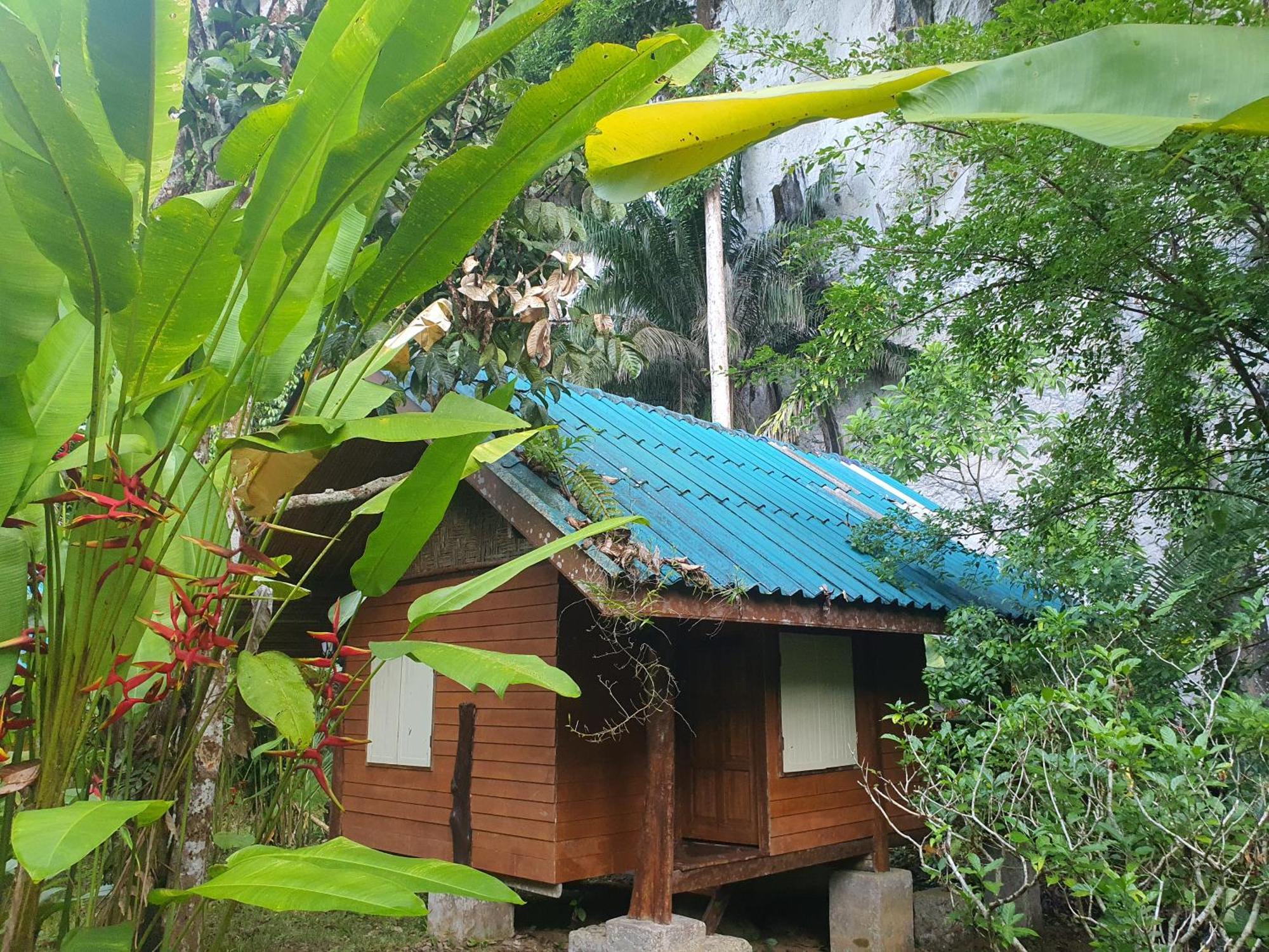 منتجع كاو سوك سيلفر كليف Khao Sok National Park الغرفة الصورة