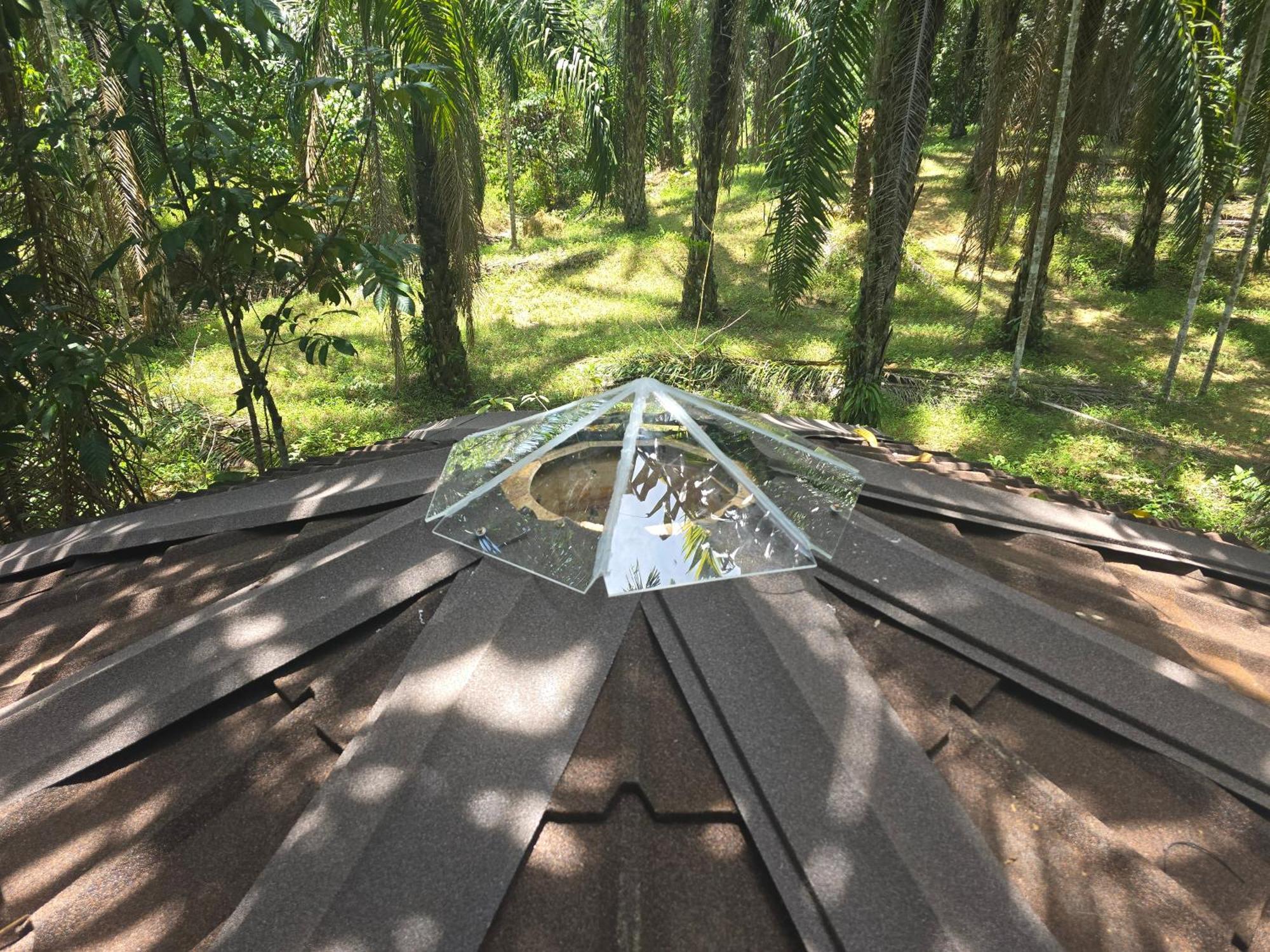 منتجع كاو سوك سيلفر كليف Khao Sok National Park المظهر الخارجي الصورة
